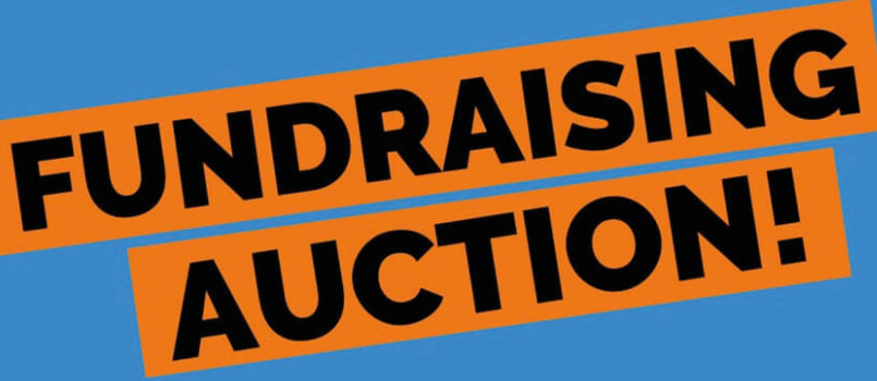 fundraising auction web