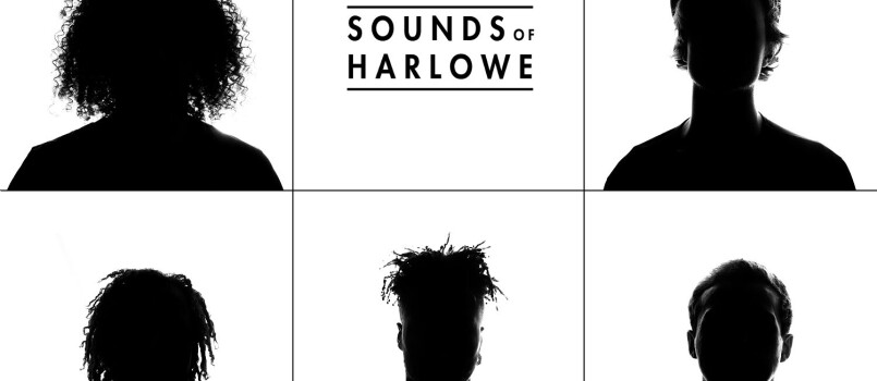 sounds of harlowe photo