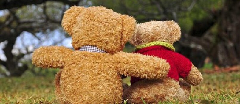 teddy bears 1441837484 large article 1